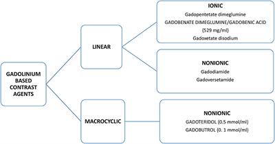 Hypersensitivity to Gadolinium-Based Contrast Media